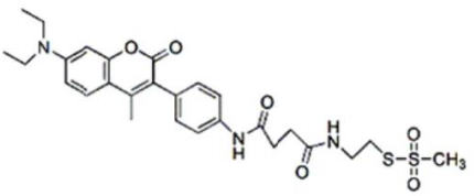 5f227b0a6b5a0.png image.png