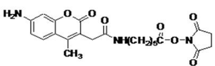 5f30f2dc3397d.png image.png