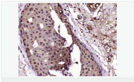 6052b265a5c9e.png image.png