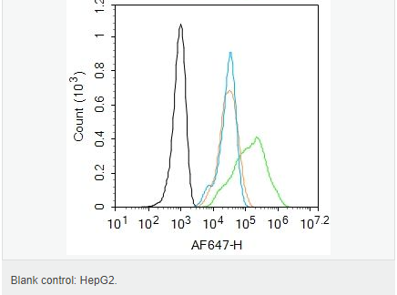 60544fca4d642.png image.png