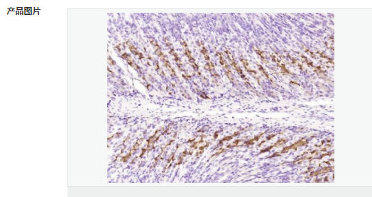 60580b620b800.png image.png