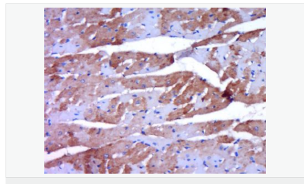 605943ac29b60.png image.png