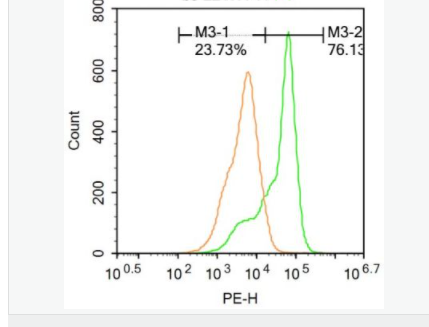 605943fe71b87.png image.png