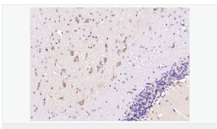 6059534c1e047.png image.png