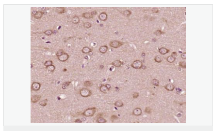 6059536317ae4.png image.png