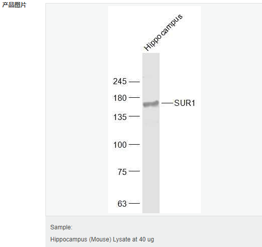 605c2e0e71ab0.png image.png