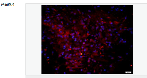 605d883078bbd.png image.png