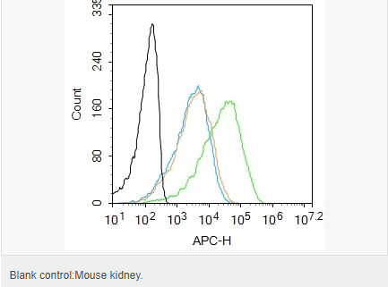 605d885bb7a9c.png image.png