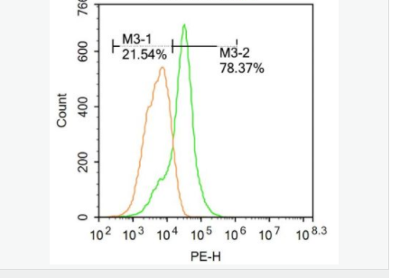 6066c66383bca.png image.png