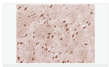 6066c70000e9c.png image.png