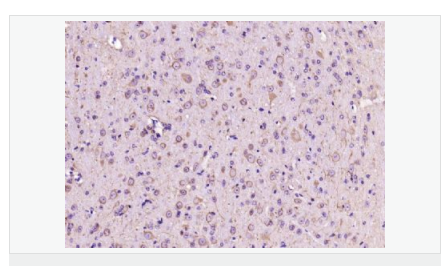 606bcfd9a37f9.png image.png