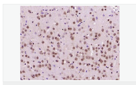 6076492688d2e.png image.png