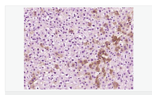 607684519d398.png image.png