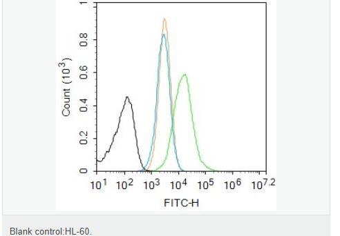 6078edccb0bb8.png image.png