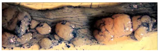 6960aed14a5f5.png image.png